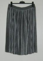 Prachtige nieuwe zilvergrijze plooirok van Didi, XL/XXL., Kleding | Dames, Rokken, Verzenden, Maat 46/48 (XL) of groter, Nieuw