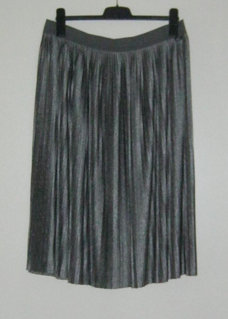 Prachtige nieuwe zilvergrijze plooirok van Didi, XL/XXL., Kleding | Dames, Rokken, Nieuw, Maat 46/48 (XL) of groter, Grijs, Onder de knie