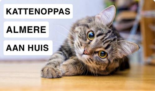 Ervare kattenoppas in Almere, Diensten en Vakmensen, Dieren | Katten | Verzorging, Oppas en Les, Particuliere oppas