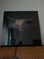 Schilderij Schotse Hooglander – “Bad Hair Day”, Ophalen, Zo goed als nieuw, Schilderij, 100 tot 125 cm