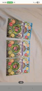 10 rittenkaart, Ophalen of Verzenden, Zo goed als nieuw