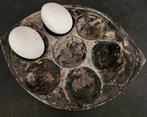 Mooie stenen eierschaal stoer sober, Wedgwood, Ophalen of Verzenden, Zo goed als nieuw, Aardewerk