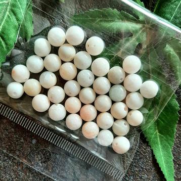 38x Witte Jade edelsteen kralen  8 mm *Restant*