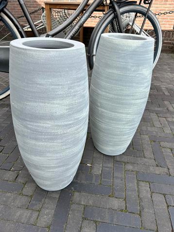 Bloempotten binnen beschikbaar voor biedingen