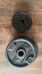 Dumbbell gewichten, Sport en Fitness, Fitnessmaterialen, Ophalen, Zo goed als nieuw, Dumbbell