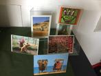 plexiglas houders - voor foto, menukaart  - NIEUW  , Nieuw, Ophalen of Verzenden, Minder dan 50 cm, Minder dan 50 cm