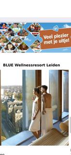 Ticket Blue Wellness Leiden dagentree, Ophalen
