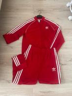 Adidas trainingspak, Zwart, Overige typen, Ophalen of Verzenden, Zo goed als nieuw