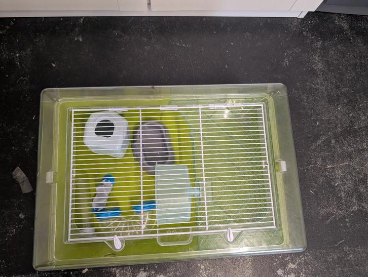 Hamsterkooi, Dieren en Toebehoren, Knaagdieren en Konijnen | Hokken en Kooien, Gebruikt, Kooi, Minder dan 60 cm, Minder dan 75 cm