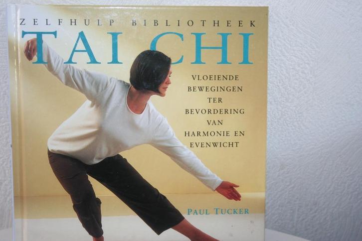 Tai Chi, Boeken, Filosofie, Nieuw, Cultuurfilosofie, Ophalen of Verzenden