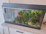 Juwel aquarium, Ophalen, Gebruikt, Filter of Co2