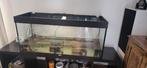Aquarium 120cm juwel, Ophalen, Zo goed als nieuw, Leeg aquarium