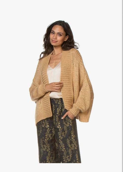 Vest zijde kasjmier Forte Forte, Kleding | Dames, Truien en Vesten, Verzenden