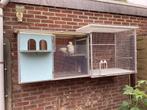 Oud Duitse meeuwtjes, Meerdere dieren, Overige soorten