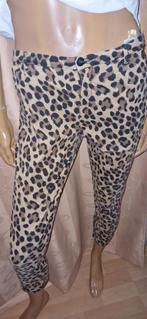 Prachtige broek van Scotch soda 24/30 zgan, Overige kleuren, Zo goed als nieuw, Maat 36 (S), Lang