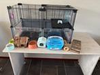 Hamsterkooi met benodigdheden, Dieren en Toebehoren, Knaagdieren en Konijnen | Hokken en Kooien, Gebruikt, Minder dan 75 cm, Hok