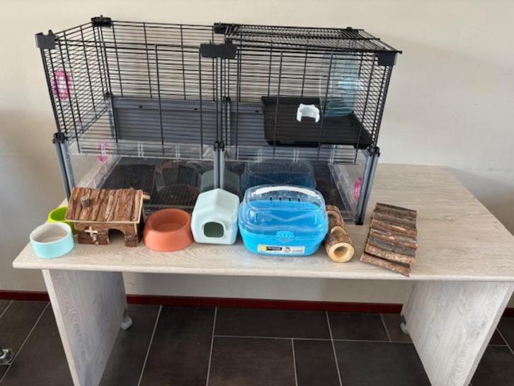 Hamsterkooi met benodigdheden, Dieren en Toebehoren, Knaagdieren en Konijnen | Hokken en Kooien, Gebruikt, Hok, Minder dan 60 cm