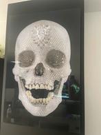 Plexiglas Schilderij Skull Diamond Schedel, Huis en Inrichting, Ophalen, 75 cm of meer