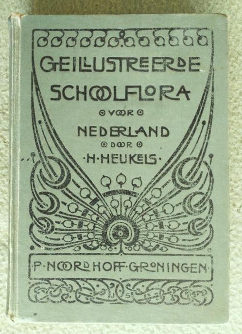 Geillustreerde schoolflora uit 1907, Antiek en Kunst, Antiek | Boeken en Bijbels, Ophalen of Verzenden