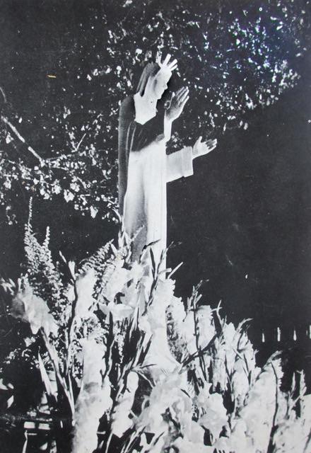 Beauraing Maria Verschijningen Hart van Goud Voor goed doel, Verzamelen, Religie, Zo goed als nieuw, Christendom | Katholiek, Boek