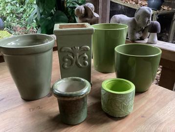 Groene Kamerplanten Potten Set beschikbaar voor biedingen