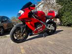 Aprilia RSV Mille, Particulier, Super Sport