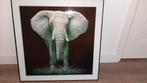 Glasschilderij olifant, Ophalen, 50 tot 75 cm, Zo goed als nieuw, Schilderij