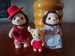 Sylvanian Families Leeuwen Familie, Ophalen of Verzenden, Zo goed als nieuw, Overige typen