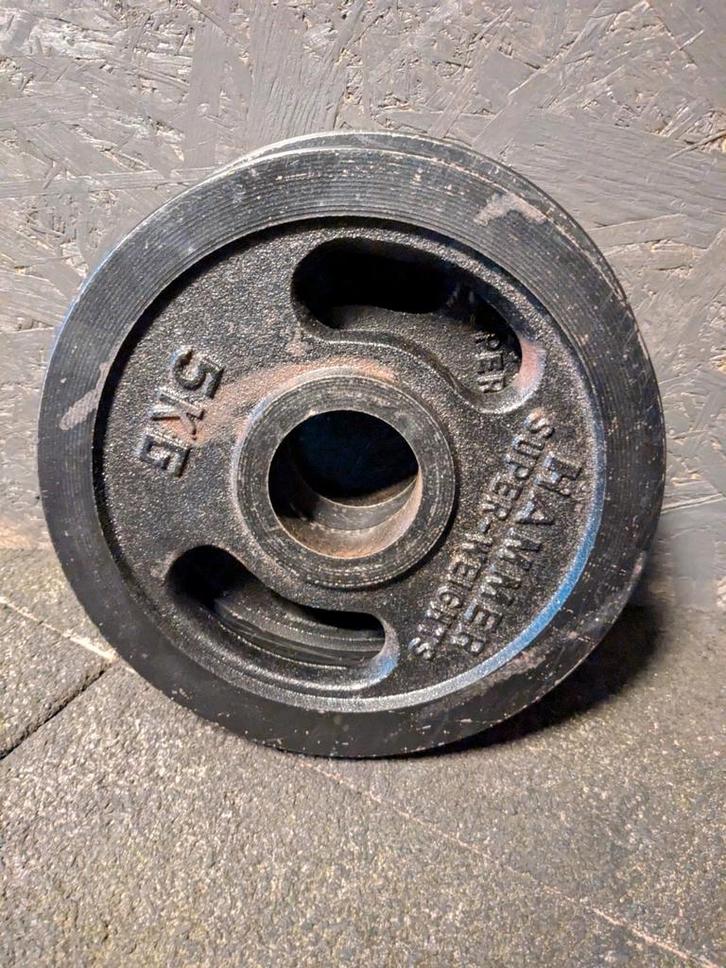 Gietijzeren Halterschijven 4x5kg, Sport en Fitness, Fitnessmaterialen, Zo goed als nieuw, Halterschijven, Armen, Benen, Borst