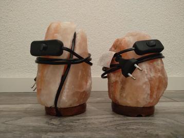 Zoutsteenlamp 2x beschikbaar voor biedingen