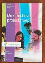 Klaas Schermer - De effectieve projectgroep, Boeken, Ophalen of Verzenden, Klaas Schermer, Ontwikkelingspsychologie, Zo goed als nieuw