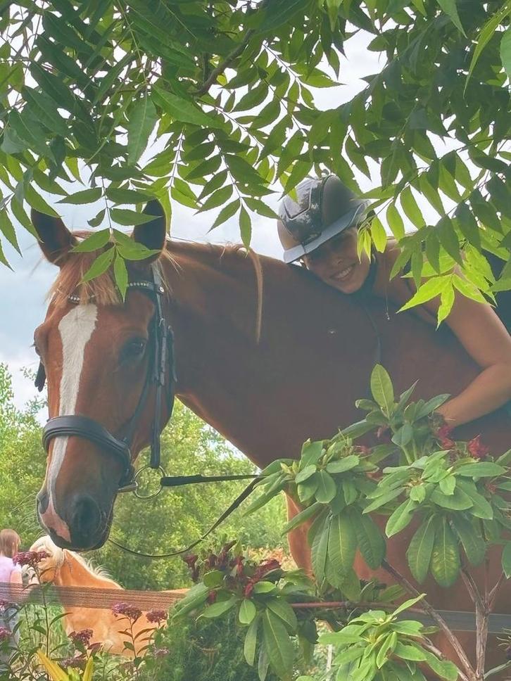 Bijrijdster gezocht, Dieren en Toebehoren, Paarden en Pony's | Overige Paardenspullen, Nieuw, Dressuur, Ophalen