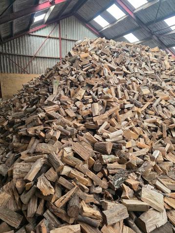 Brandhout / Haardhout - Gedroogd beschikbaar voor biedingen