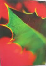 Voor het kind - hulstblad - nieuw, Verzamelen, Ansichtkaarten | Themakaarten, Verzenden, 1980 tot heden, Ongelopen, Overige thema's