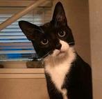 Vermist sinds 26-01-2026