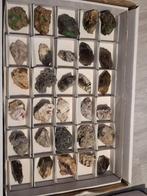 Lot Gemixte Spaanse Mineralen, Ophalen of Verzenden, Gebruikt, Natuurlijk