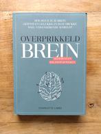 Overprikkeld Brein - Charlotte Labeé ISBN 9789043924887, Ophalen of Verzenden, Gelezen