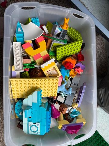 Duplo Sets: Elsa, Belle, Boomhut & Meer! beschikbaar voor biedingen