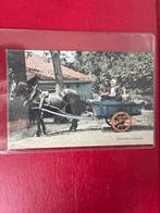 Zeeuwse Melkwagen Ansichtkaart 1911, Antiek en Kunst, Ophalen of Verzenden