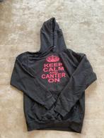 Zwarte hoodie, Ophalen of Verzenden, Gedragen, Maat 46 (S) of kleiner, Zwart