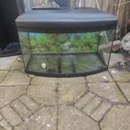 Gratis aquarium te gebruiken voor terrarium, Dieren en Toebehoren, Ophalen, Gebruikt, Terrarium of Paludarium