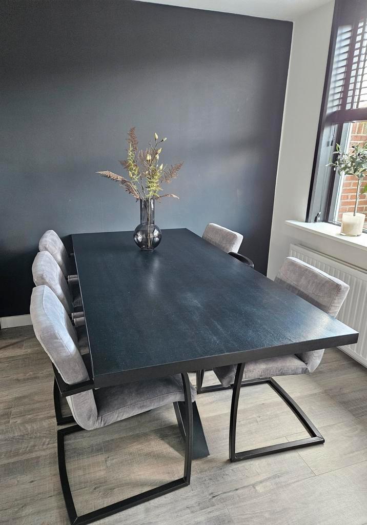 6-persoons eettafel, Huis en Inrichting, Tafels | Eettafels, Gebruikt, 50 tot 100 cm, 200 cm of meer, Vijf personen of meer, Rechthoekig