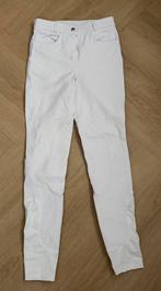 Wedstrijd rijbroek Epplejeck Parzival wit maat 34, Dieren en Toebehoren, Paardrijkleding, Ophalen, Gebruikt, Dressuur, Onderkleding