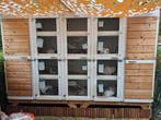 Mooie konijnen / cavia flat, Ophalen, 110 cm of meer, Zo goed als nieuw, 90 cm of meer