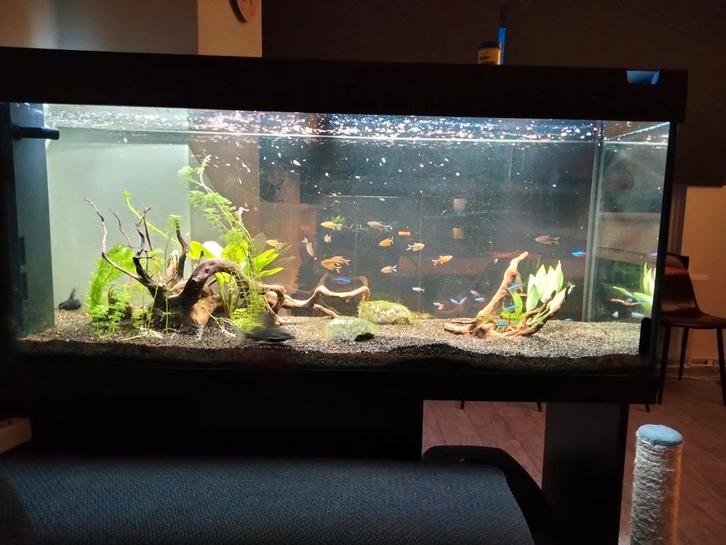 Juwel Rio 350, Dieren en Toebehoren, Vissen | Aquaria en Toebehoren, Gebruikt, Ophalen