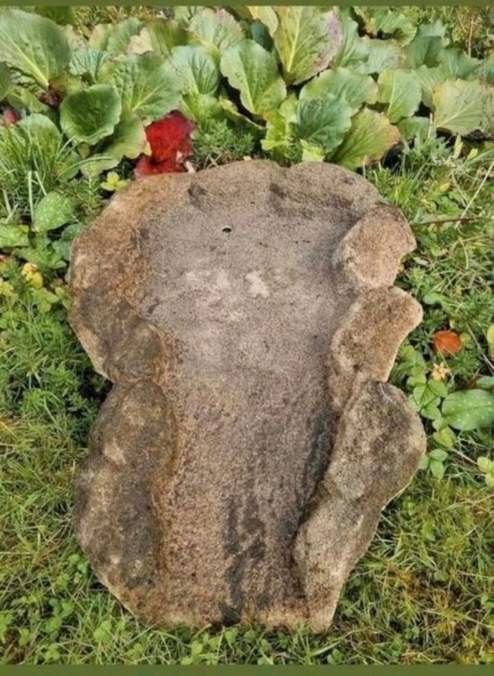 Waterval waterloop beekloop beek beekje 75 x 52 cm

Zeer nat, Tuin en Terras, Vijver-toebehoren, Zo goed als nieuw, Overige typen