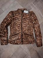 Panter zomer/lente jas van Coolcat maat M, Ophalen of Verzenden, Nieuw, Maat 38/40 (M), Bruin