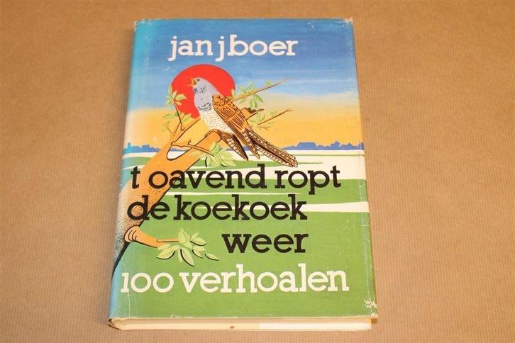 't Oavend Ropt de Koekoek — Groningse Verhalen van Jan Boer, Boeken, Geschiedenis | Stad en Regio, Gelezen, Ophalen of Verzenden