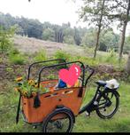 Vogue 3 wiel bakfiets,  accu defect, Fietsen en Brommers, Fietsen | Bakfietsen, 4 kinderen of meer, Gebruikt, Huif, Ophalen