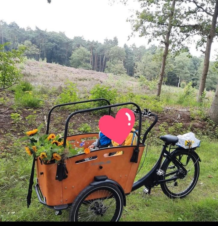 Vogue 3 wiel bakfiets,  accu defect, Fietsen en Brommers, Fietsen | Bakfietsen, Gebruikt, Overige merken, 4 kinderen of meer, Elektrisch